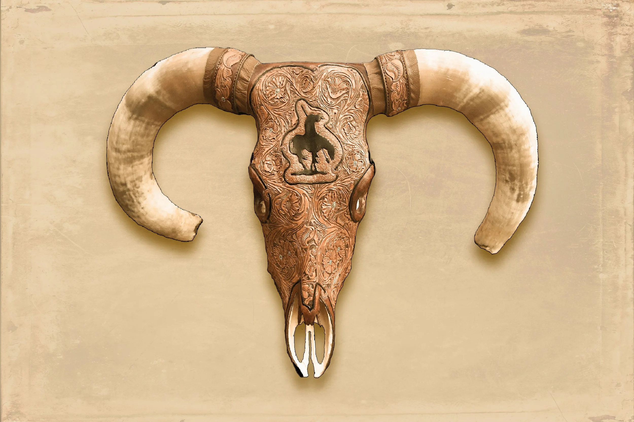 BULL SKULL LEATHER WRAPPED LEATHER ART CANVAS — Dibble & Son Gallery